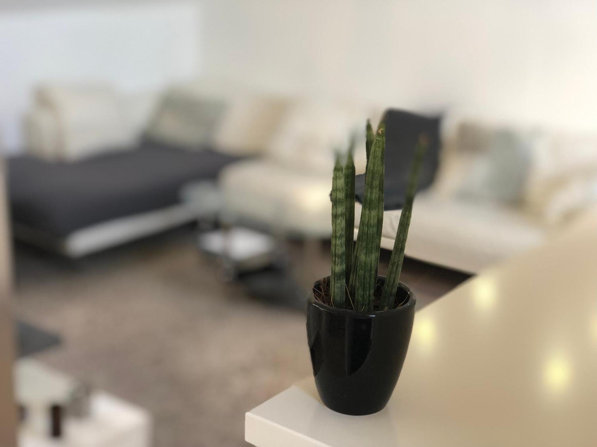Caleva'S Bnb Pforzheim Buitenkant foto