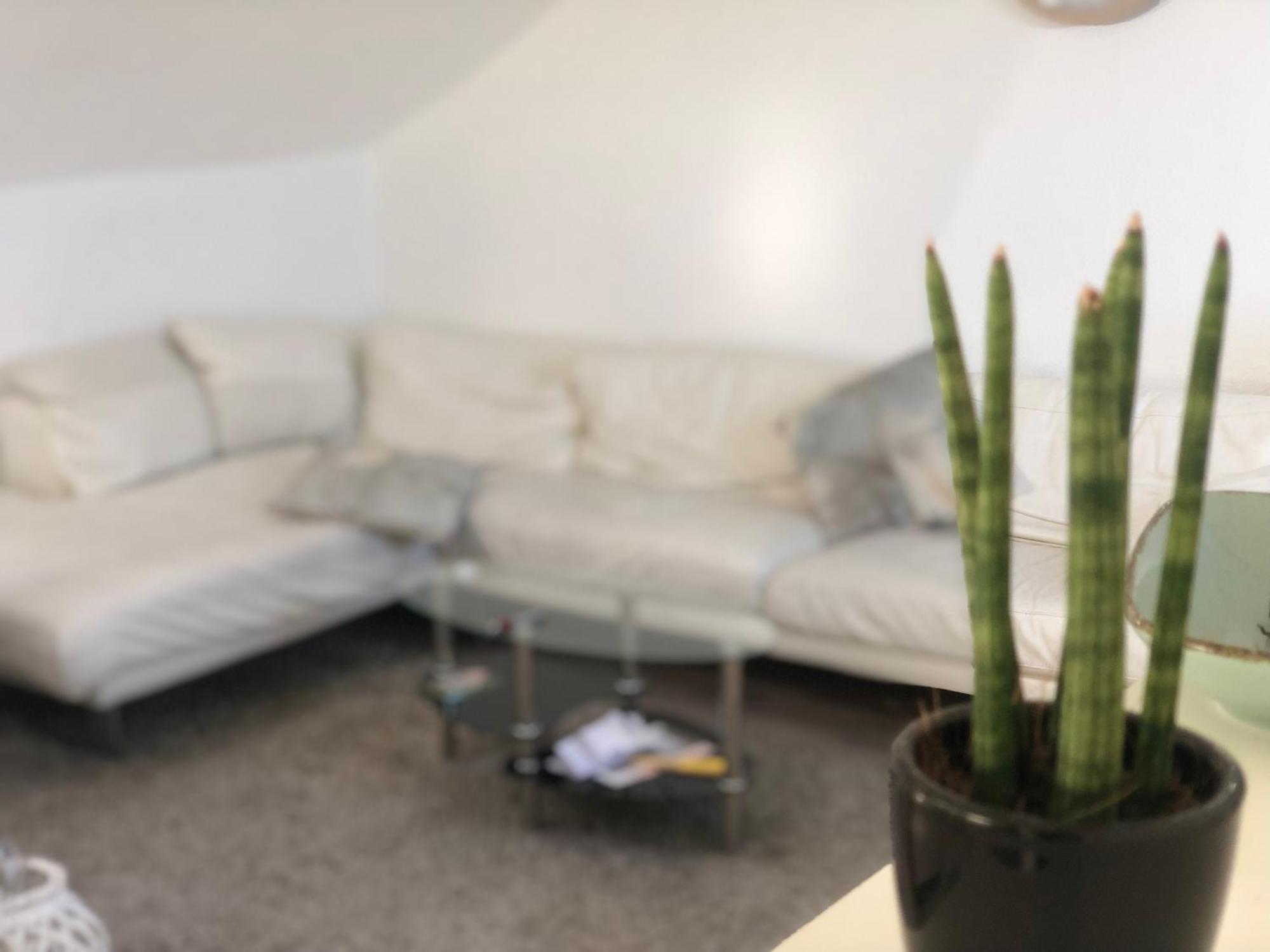Caleva'S Bnb Pforzheim Buitenkant foto